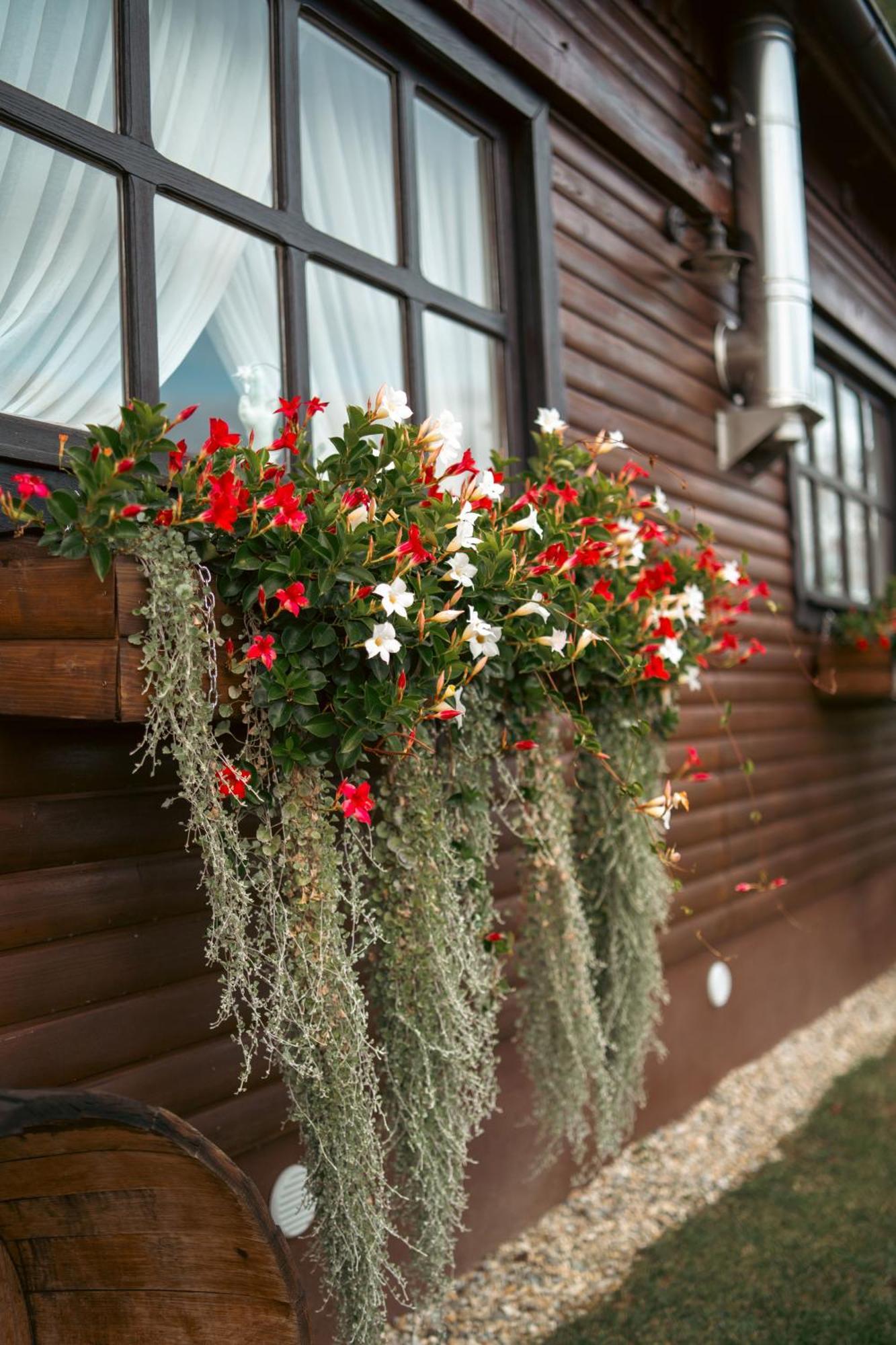 Holiday Home Hygge Nova Grabrovnik Dış mekan fotoğraf
